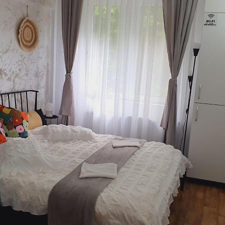Garsoniera Ioana Apartment ซินายา ภายนอก รูปภาพ