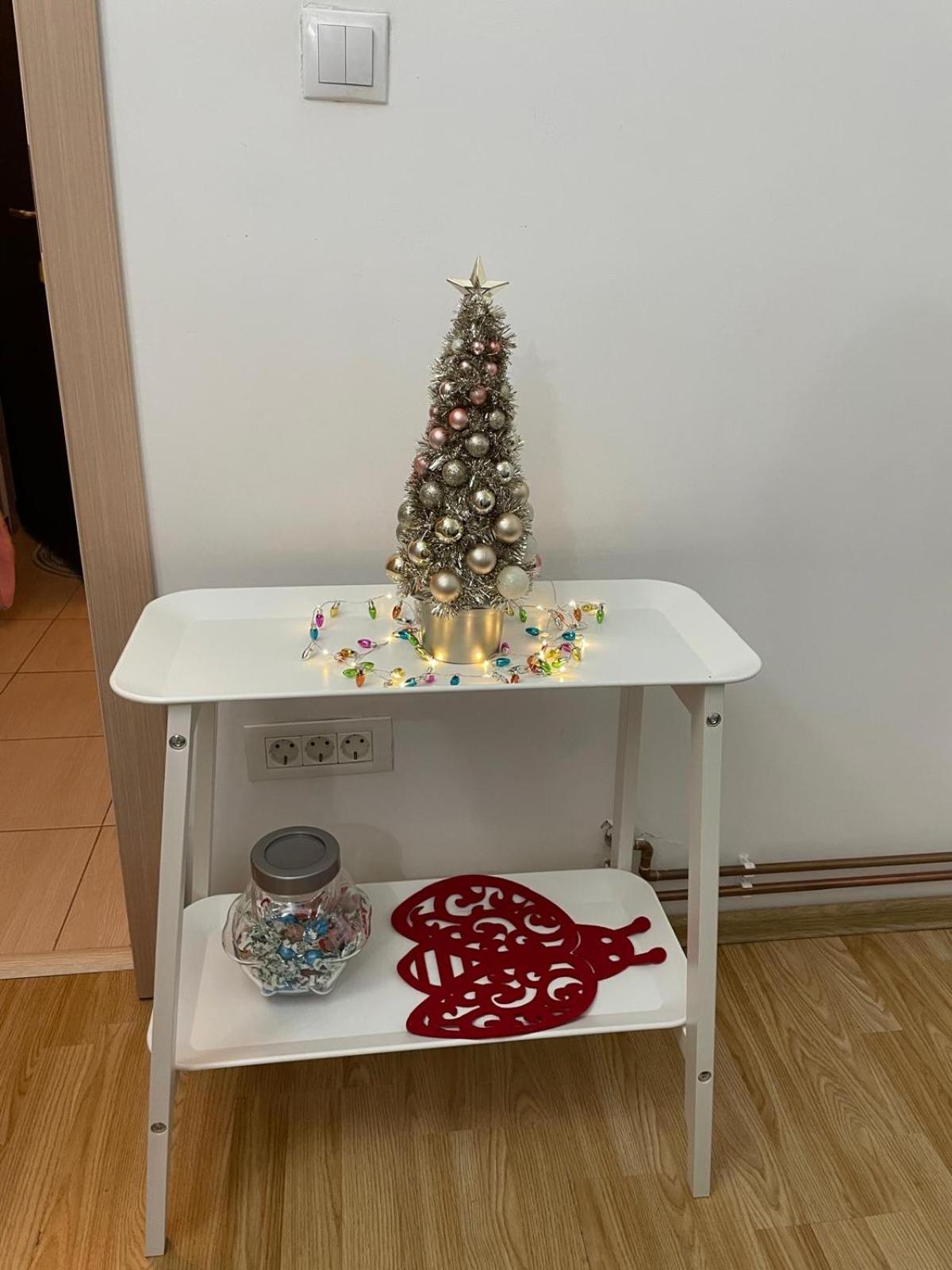 Garsoniera Ioana Apartment ซินายา ภายนอก รูปภาพ