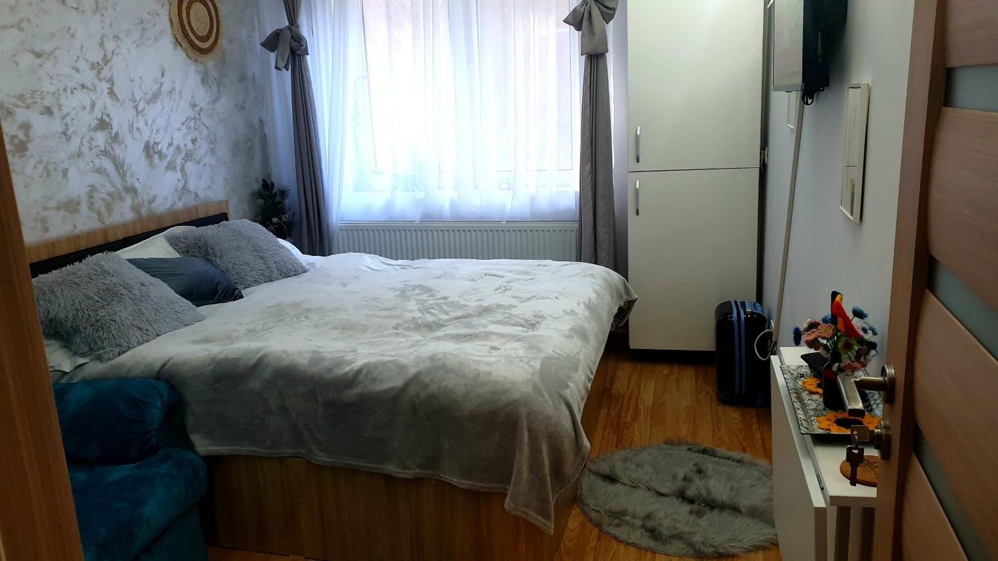 Garsoniera Ioana Apartment ซินายา ภายนอก รูปภาพ